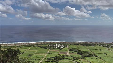 喜界島・静かな隆起サンゴ礁の島（七島鼻）